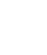 Ternado Software Java Logo